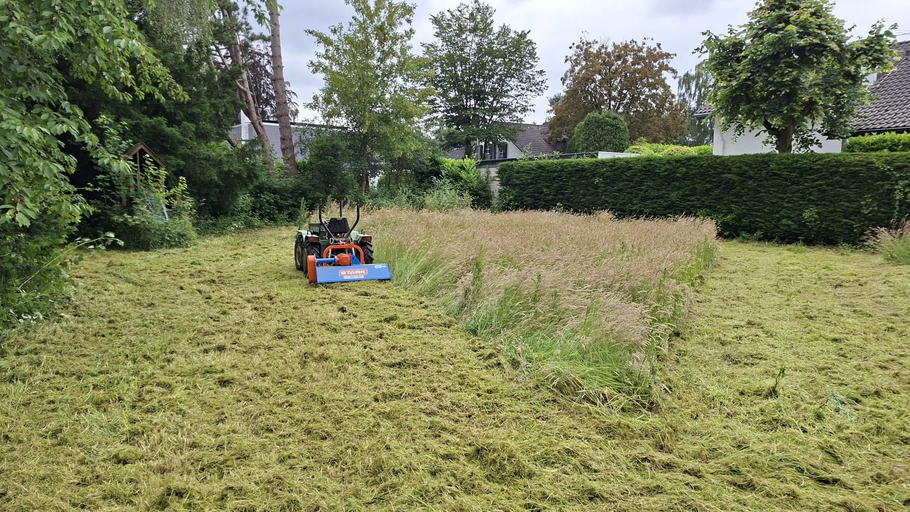 Gemulchte Fläche direkt neben hohem, ungemähtem Gras